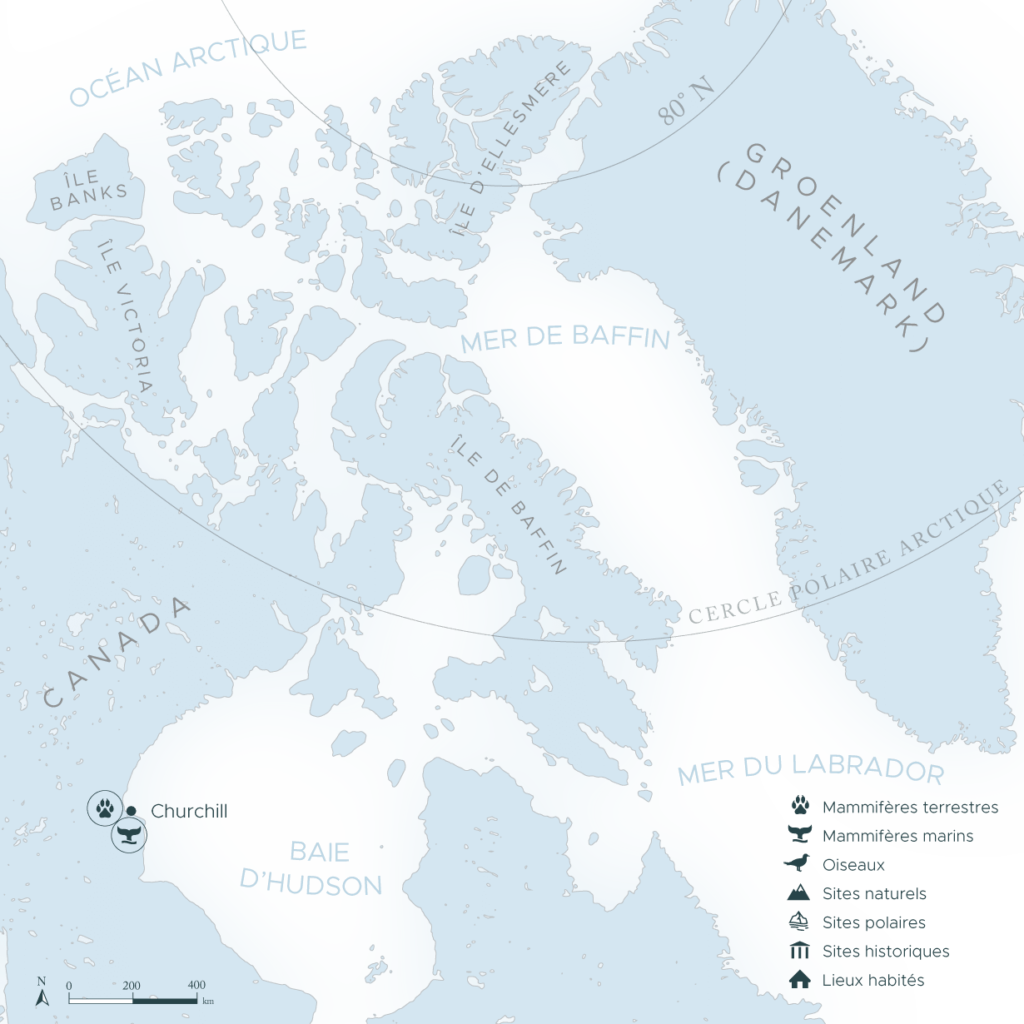 circuits-terrestres-ours-narval Carte pour un circuit terrestre au Canada pour voir les ours polaires et le narval | Les Mondes Polaires