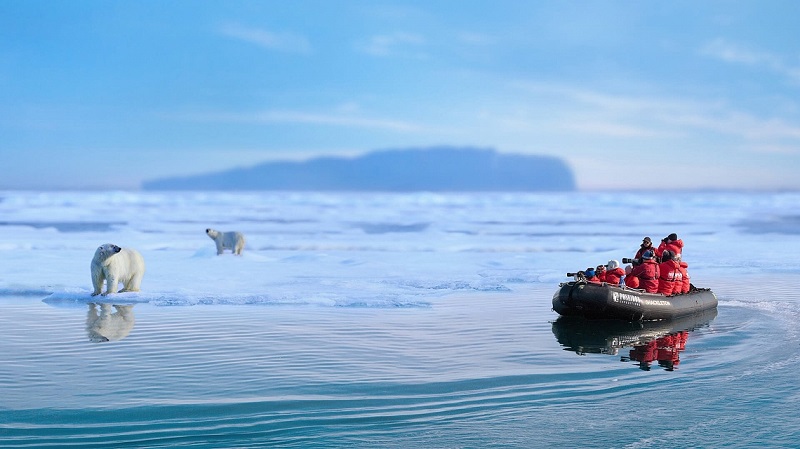 Sortie en zodiac pour observer l'ours polaire sur la banquise - Terre Francois-Joseph | Les Mondes Polaires