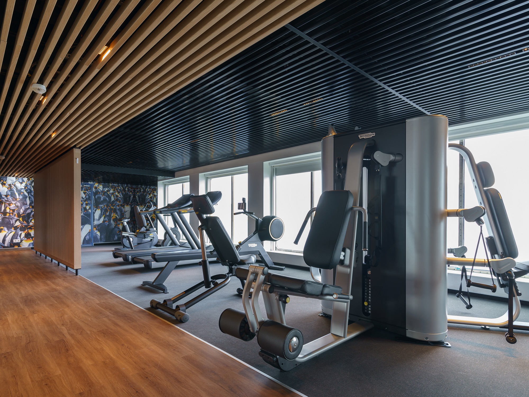 bateau-ultramarine-fitness