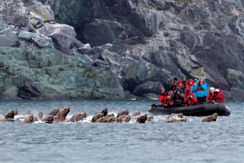 Approche des falaises des îles Kouriles pour observer les oiseaux et la faune marine - Extreme-orient russe | Les Mondes Polaires