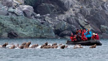 Approche des falaises des îles Kouriles pour observer les oiseaux et la faune marine - Extreme-orient russe | Les Mondes Polaires