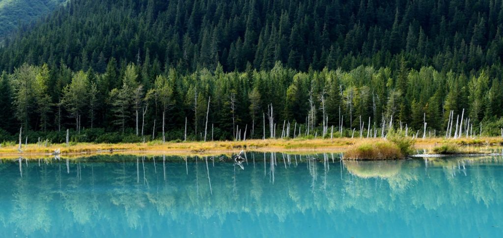Lac turquoise et forêt de sapin - Canada | Les Mondes Polaires