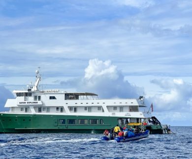 safari-explorer-exterieur-panoramique